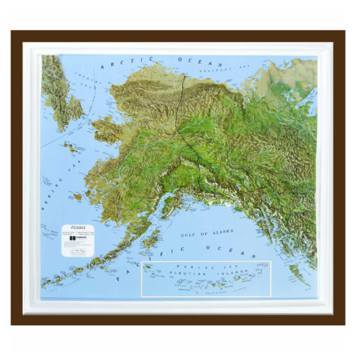 Alaska Raised Relief Map by Hubbard Scientific - Image 6
