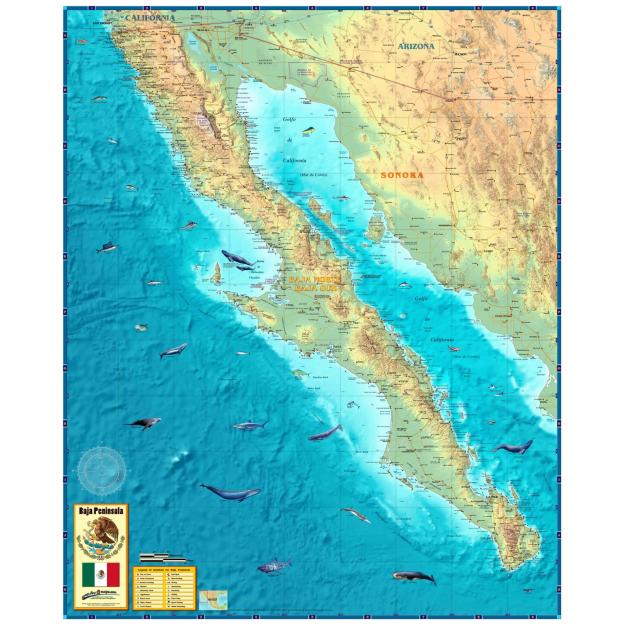 Baja Peninsula Wall Map by Compart
