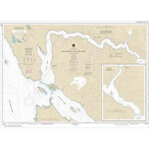 NOAA Chart - Holkham Bay And Tracy Arm - Stephens Passage - 17311