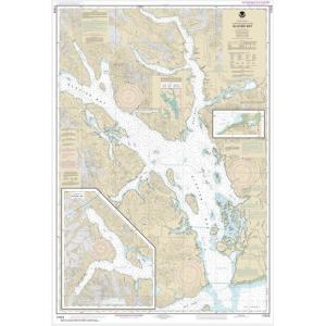 NOAA Chart - Glacier Bay; Bartlett Cove - 17318