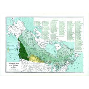 Forests - Atlas of Canada 1st Edition by Natural Resources Canada