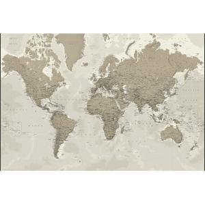 Political World Wall Map - Silver-tones - Extra Large by Geo4Map