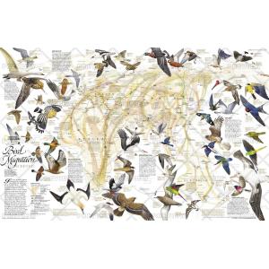 Bird Migration Eastern Hemisphere - Published 2004 by National Geographic