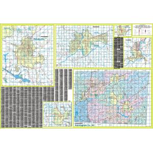 Reidsville and Rockingham County, NC Wall Map
