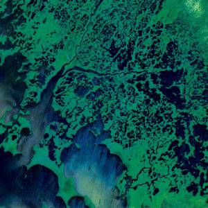 Everglades National Park Satellite Art by City Prints