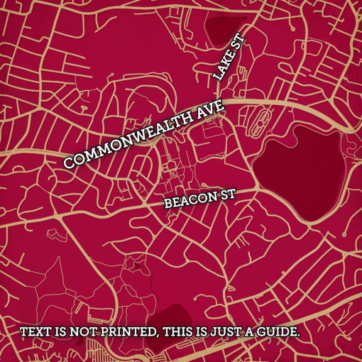 Boston College Campus Map Art by City Prints - Image 2