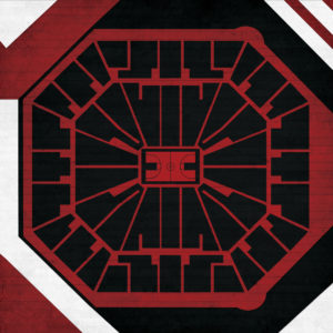 Colonial Life Arena Map Art by City Prints