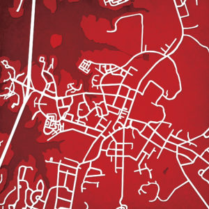 Davidson College Campus Map Art by City Prints