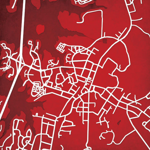 Davidson College Campus Map Art by City Prints