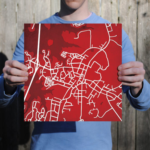 Davidson College Campus Map Art by City Prints - Image 3