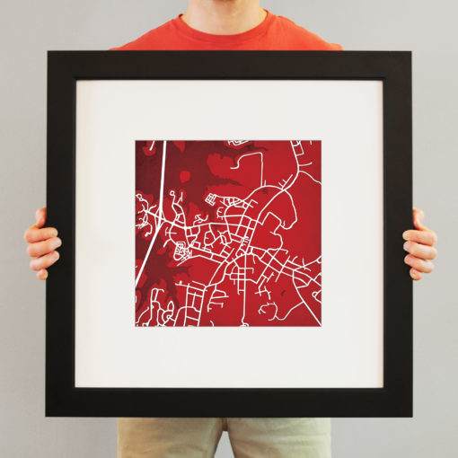 Davidson College Campus Map Art by City Prints - Image 4
