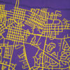 East Carolina University Campus Map Art by City Prints