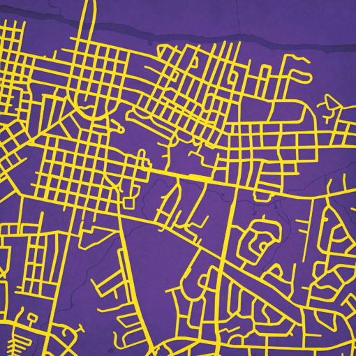 East Carolina University Campus Map Art by City Prints