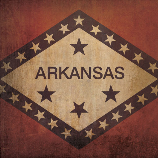 Arkansas Flag Art by City Prints