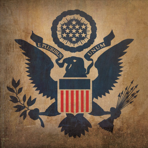 Coast Guard Flag Art by City Prints
