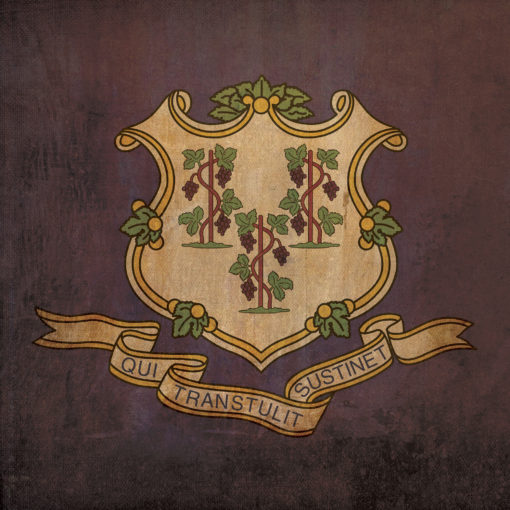 Connecticut Flag Art by City Prints