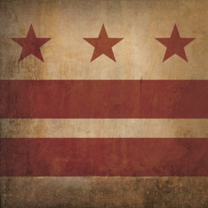 District of Columbia Flag Art by City Prints