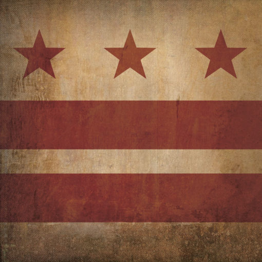 District of Columbia Flag Art by City Prints
