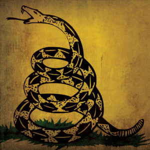Gadsden (Don't Tread On Me) Flag Art by City Prints