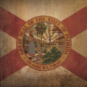 Florida Flag Art by City Prints