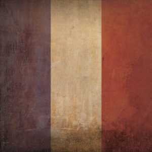 France Flag Art by City Prints