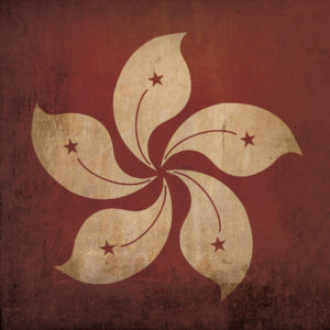 Hong Kong Flag Art by City Prints