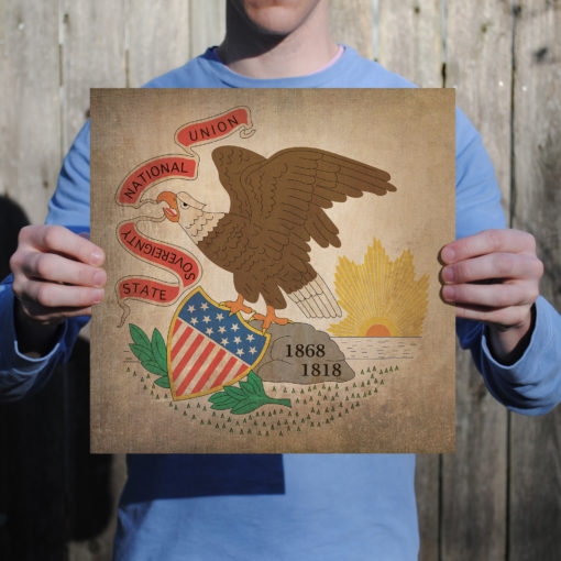 Illinois Flag Art by City Prints - Image 2