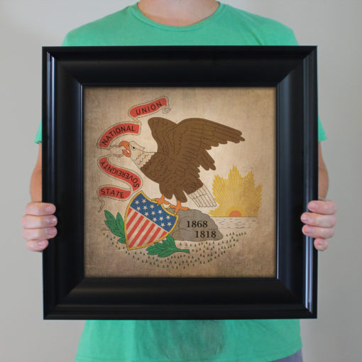 Illinois Flag Art by City Prints - Image 4