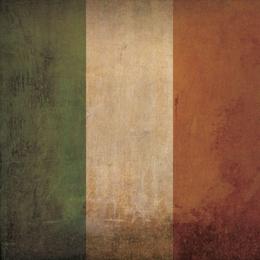 Ireland Flag Art by City Prints