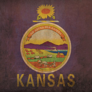 Kansas Flag Art by City Prints
