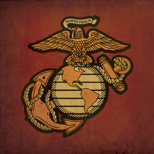 Marine Seal Art by City Prints