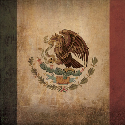 Mexico Flag Art by City Prints