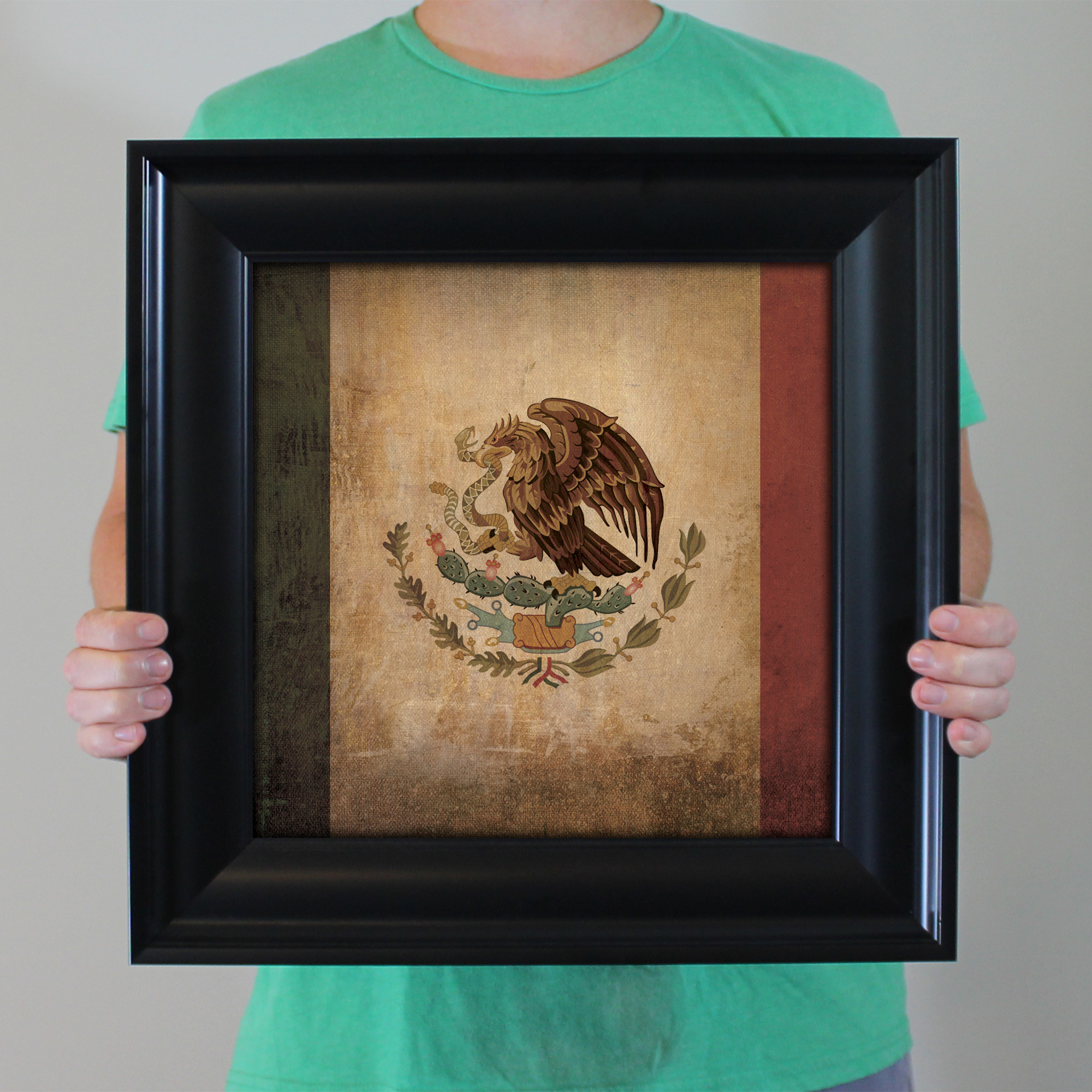 Mexican Flag Art: Canvas Prints, Frames & Posters