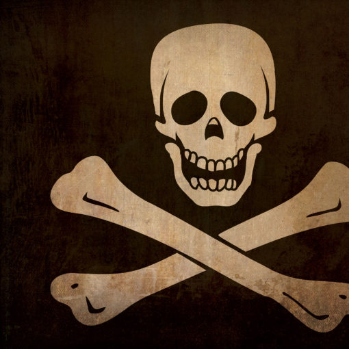 Jolly Roger Flag Art by City Prints