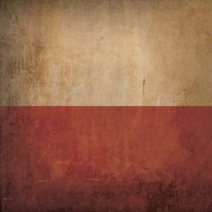 Poland Flag Art by City Prints
