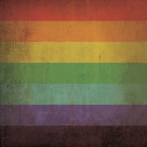 Rainbow Flag Art by City Prints