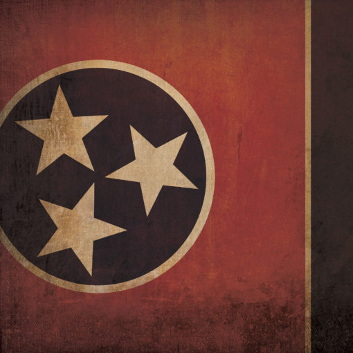 Tennessee Flag Art by City Prints