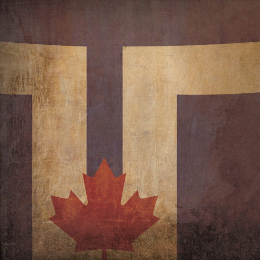 Toronto Flag Art by City Prints