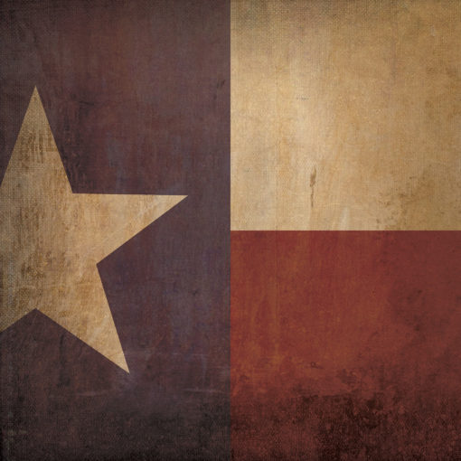 Texas Flag Art by City Prints