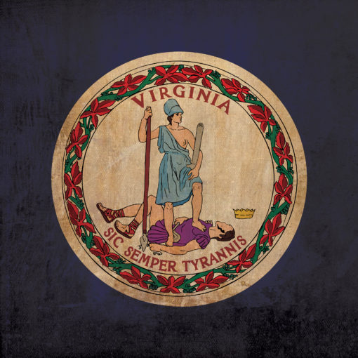 Virginia Flag Art by City Prints