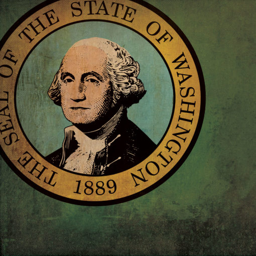 Washington Flag Art by City Prints