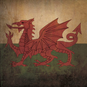 Wales Flag Art by City Prints