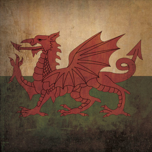 Wales Flag Art by City Prints