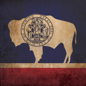 Wyoming Flag Art by City Prints