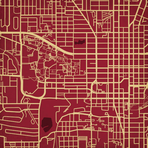 Florida State University Campus Map Art by City Prints