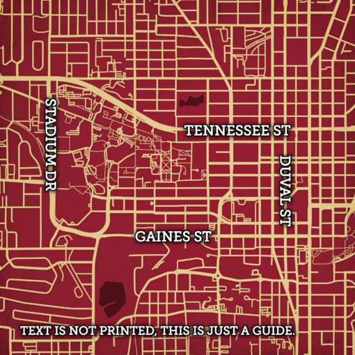 Florida State University Campus Map Art by City Prints - Image 2