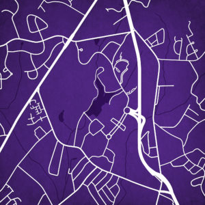 Furman University Campus Map Art by City Prints