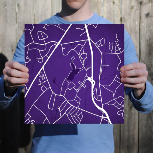 Furman University Campus Map Art by City Prints - Image 3