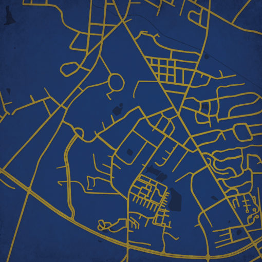Georgia Southern University Campus Map Art by City Prints