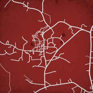 Hampden-Sydney College Campus Map Art by City Prints
